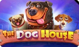 Spinny – The Dog House